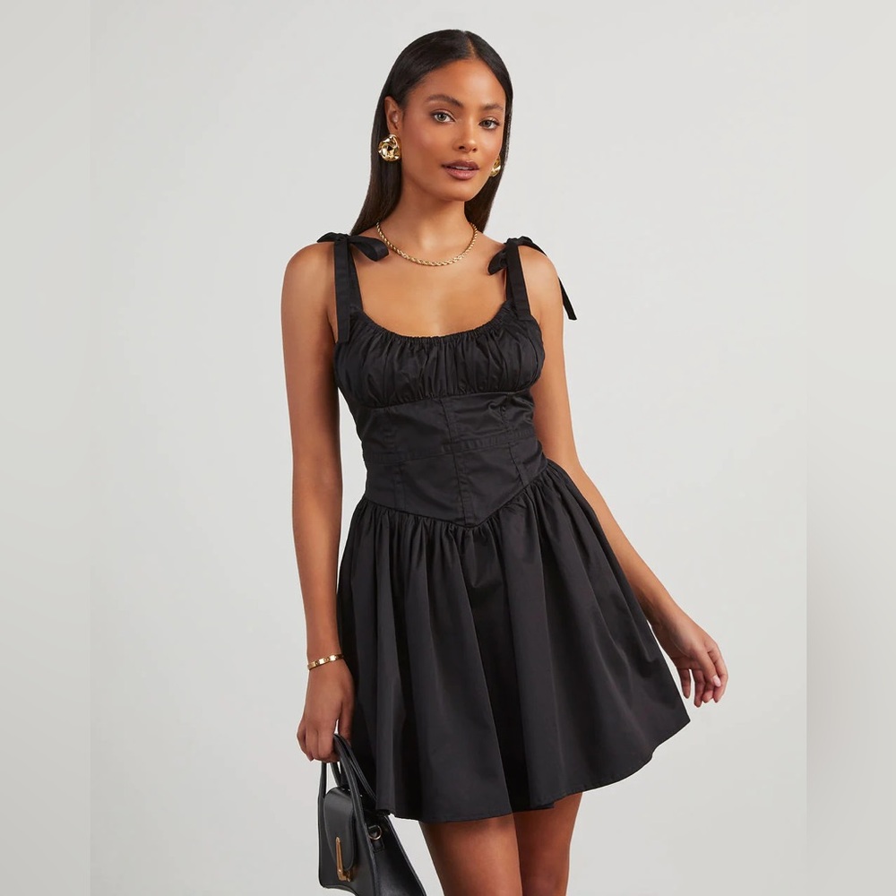 NWT - Arya Corset Flare Mini Dress